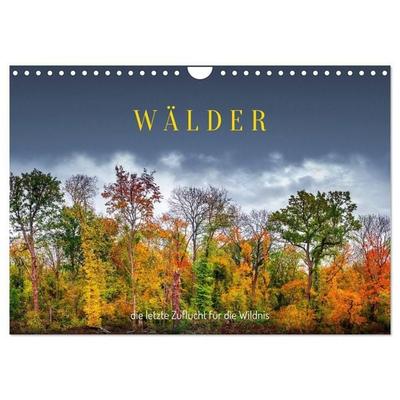 Wälder: die letzte Zuflucht für die Wildnis (Wandkalender 2027 DIN A4 quer), CALVENDO Monatskalender