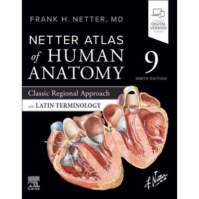 Netter Atlas of Human Anatomy: Classic Regional Approach with Latin Terminology, Taschenbuch von Frank H. Netter, Elsevier LTD, 978-0-443-37794-5