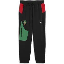 Puma, Herren, Sporthose, FRMF PUMATECH Track Pants WV (S), Schwarz