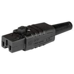 Schurter 3-142-747 Kaltgeräte-Steckverbinder 747 Stecker, gerade Gesamtpolzahl: 3 + PE 6.5 mA Schwarz 1 St. Piece