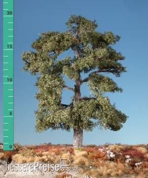 Silhouette 280-53