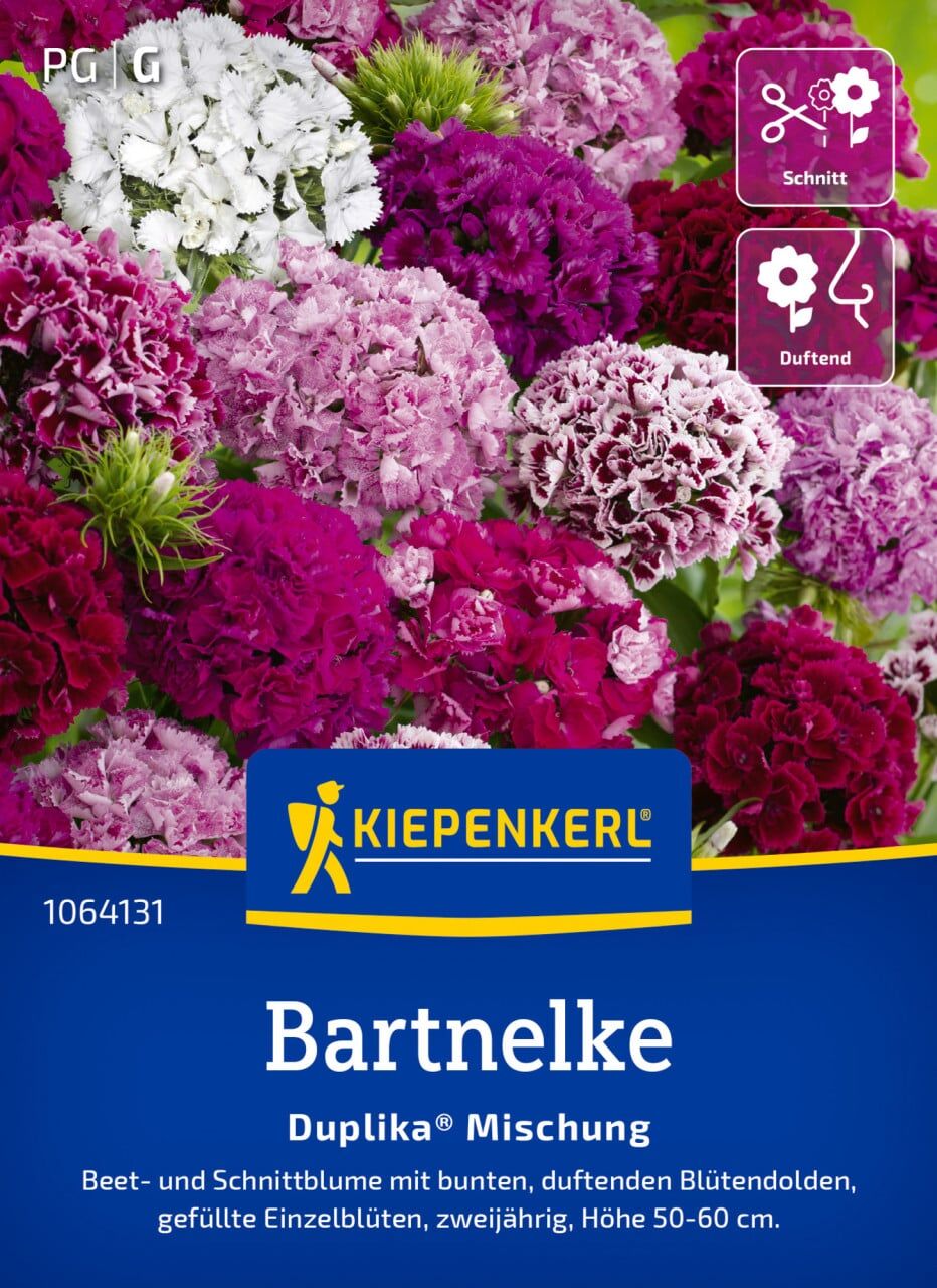 Kiepenkerl Blumensamen Bartnelke Mischung für ca. 60 Pflanzen
