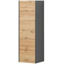 Hängeschränke   ¦ grau ¦ Maße (cm): B: 43 H: 141 T: 40.0