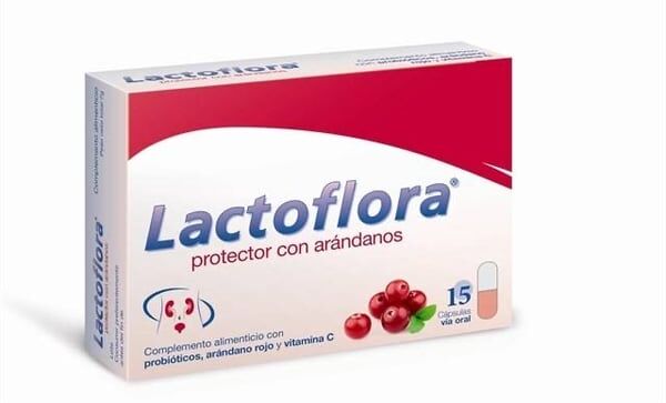 Stada Lactoflora Uro Cápsulas x15