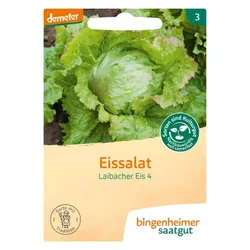 Bingenheimer Saatgut Eissalat Laibacher Eis demeter