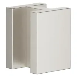 Dornbracht Türgriff 11000980-06 platin matt