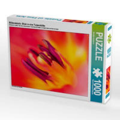 CALVENDO Puzzle Blütendetails: Blick in eine Tulpenblüte | 1000 Teile Lege-Größe 64x48cm Foto-Puzzle für glückliche Stunden