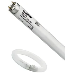 Feilo Sylvania UV-A Lampe T9 FC32W T9 BL #0000100