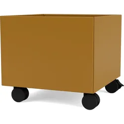 Montana Mini Aufbewahrungsbox bernsteinfarben auf Rollen
