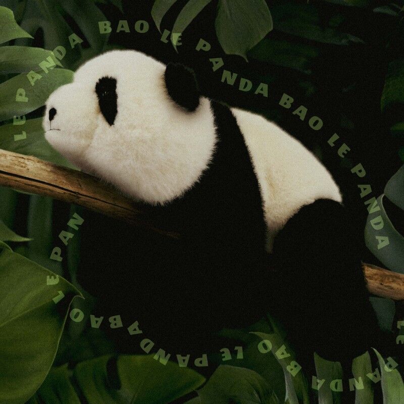 Peluche Panda Bao 32 cm : Dans la Forêt tropicale - Histoire d'Ours