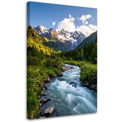 LEINWANDBILD Berglandschaft Bach Natur 80x120cm