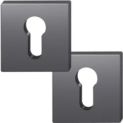 FSB, Türgriff + Türgarnitur, Zylinderrosette quadratisch 12 1704 00010 ASL, Aluminium schwarz matt (Türknopf)
