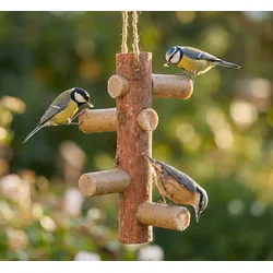 Starter-Set Futterast und 4 Meisenstangen mit Insekten