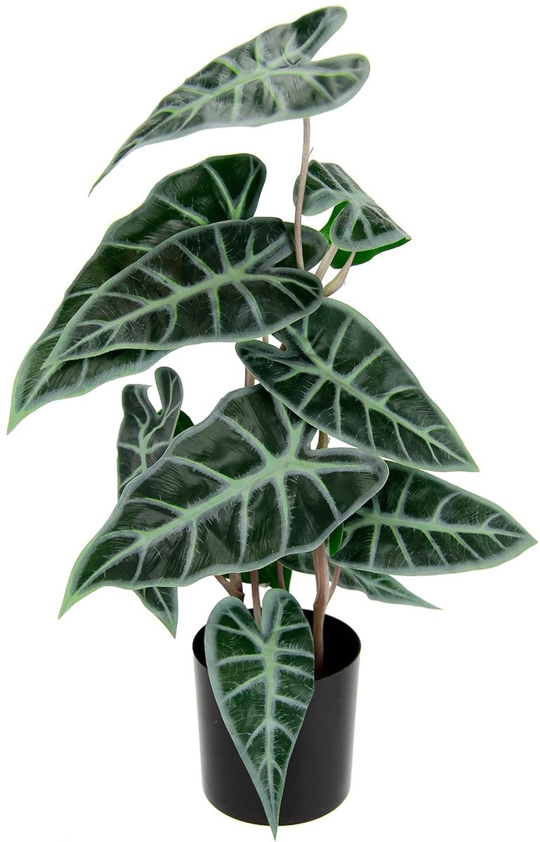 Realistische kunstplant Calathea in pot - Groen