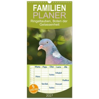 Familienplaner 2027 - Ringeltauben, Boten der Gelassenheit mit 5 Spalten (Wandkalender, 21 x 45 cm) CALVENDO