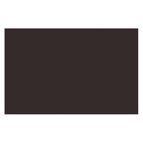 Winsor & Newton Ac Spray 400Ml Burnt Umber 0128 (400 ml) (4450128)