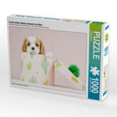 CALVENDO Puzzle Zuckersüßer Welpe entdeckt die Welt | 1000 Teile Lege-Größe 64x48cm Foto-Puzzle für glückliche Stunden