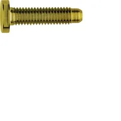 Elcom Schraube Spezial ZY M5x25 PVD mes