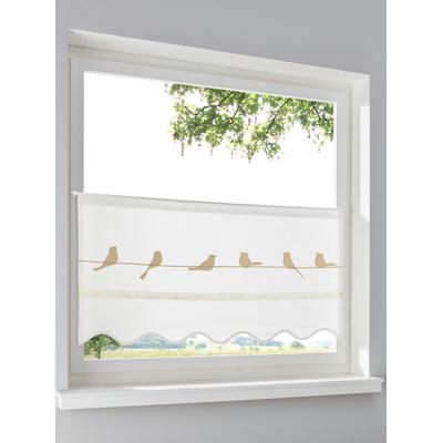Querbehang HEINE HOME Gr. 1, weiß (weiß, natur), B:60cm H:60cm, Baumwolle, Gardinen