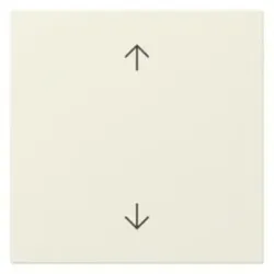 Gira Wippe 1-teilig Schalter cws Pfeile System 55 361601