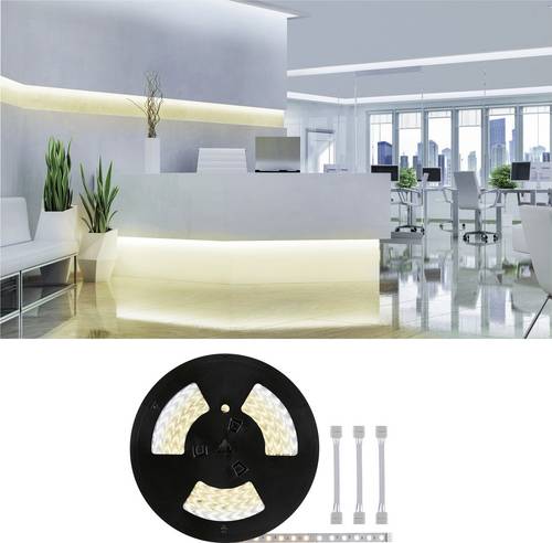 Paulmann 71041 LED-Streifen-Erweiterung mit Stecker 24V 20m Warmweiß bis Tageslichtweiß 20m