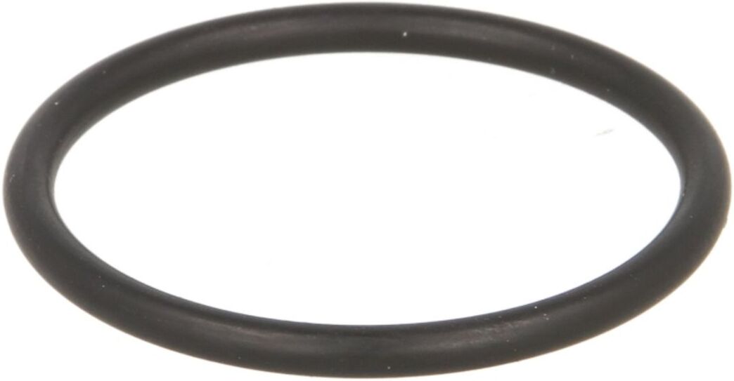Euroricambi O-ring, cambio manuale 95531009
