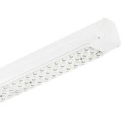 Philips Lighting LED-Geräteträger 4MX850 491 #66601099