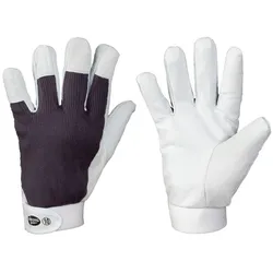 Stronghand Sukkur Nappaleder Baumwolle Handschuh