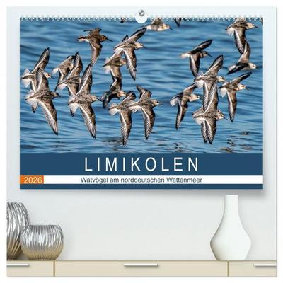 Limikolen - Watvögel am norddeutschen Wattenmeer (hochwertiger Premium Wandkalender 2026 DIN A2 quer), Kunstdruck in Hochglanz
