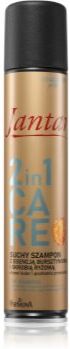 Farmona Jantar Amber Essence champô seco para proteção da cor 180 ml. Jantar Amber Essence