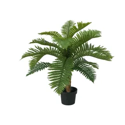 EUROPALMS Cycas Palme, Kunstpflanze, 70cm