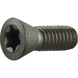 Spannschraube Gr.T20 f.TCMT 16/SCMT 12 z.Fasenfräser TECWERK