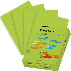 Papyrus Kopierpapier Rainbow 88042615, A4, 160 g/qm, leuchtgrün, 250 Blatt
