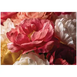 FOTOTAPETE Blumen Pfingstrosen Rot 150x105 cm