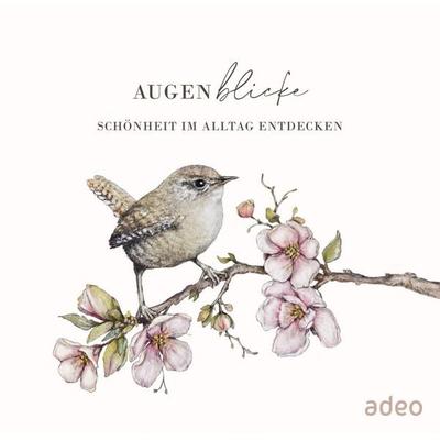 AugenBlicke - Aufstellbuch, Gebundene Ausgabe von , Adeo Verlag