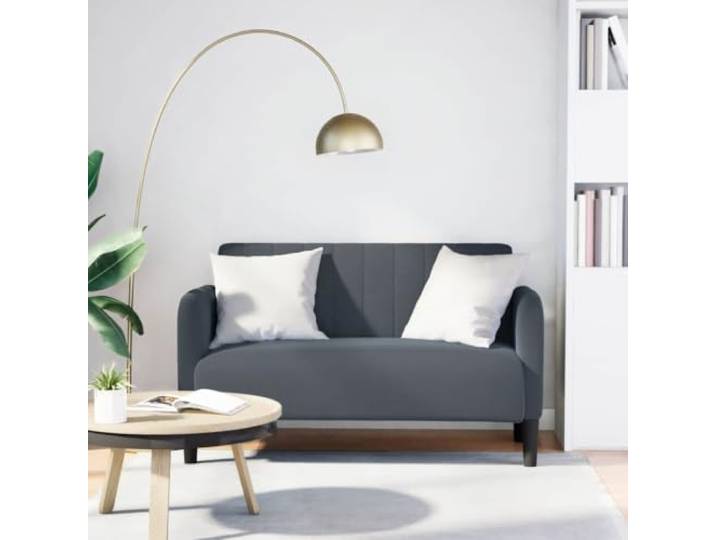 HEFZGDB Zweisitzer Sofa Dunkelgrau 109 cm Samt Stoffbezug mit Schaumstoff und Federung für optimale Unterstützung und langlebigen Komfort, Robustes Sperrholzgestell und stabile