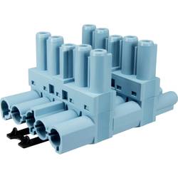 Adels-Contact 18088 T-Verteiler T-Verteiler Gesamtpolzahl: 5 + PE 20 A Pastell-Blau 50 St.