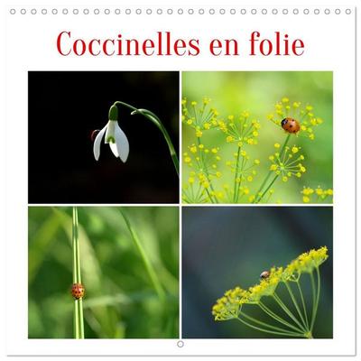 Coccinelles en folie (Calendrier mural carré 2027 30x30 cm) Calendrier double avec une page pour vos prises de notes
