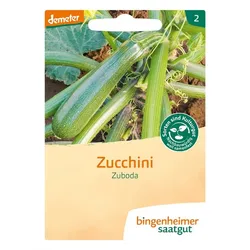 Zucchini - Zuboda