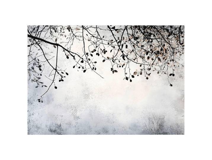 Wallarena Fototapete Baum Zweige Vlies Tapete Wohnzimmer Schlafzimmer 400x280, Grau, Papier, Baum/Pflanze/Natur, Rechteckig, 400x280 cm, Tapeten & Wandverkleidungen, Fototapeten
