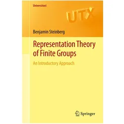 Representation Theory of Finite Groups, Fachbücher von Benjamin Steinberg