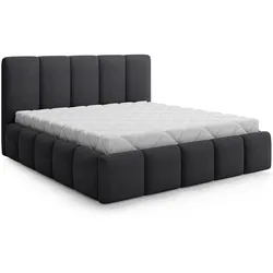 BOXBETT 180/200 Klaus Dunkelgrau