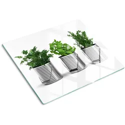 GLASPLATTE 60x52 cm Aromatische Pflanzen