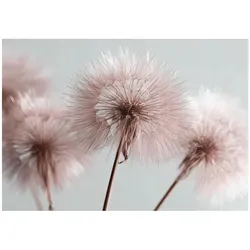 FOTOTAPETE Pusteblume Boho Wohnzimmer 200x140