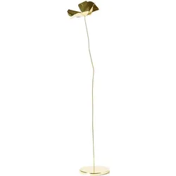 Papavero Delicato Dekoration S Blume goldfarben
