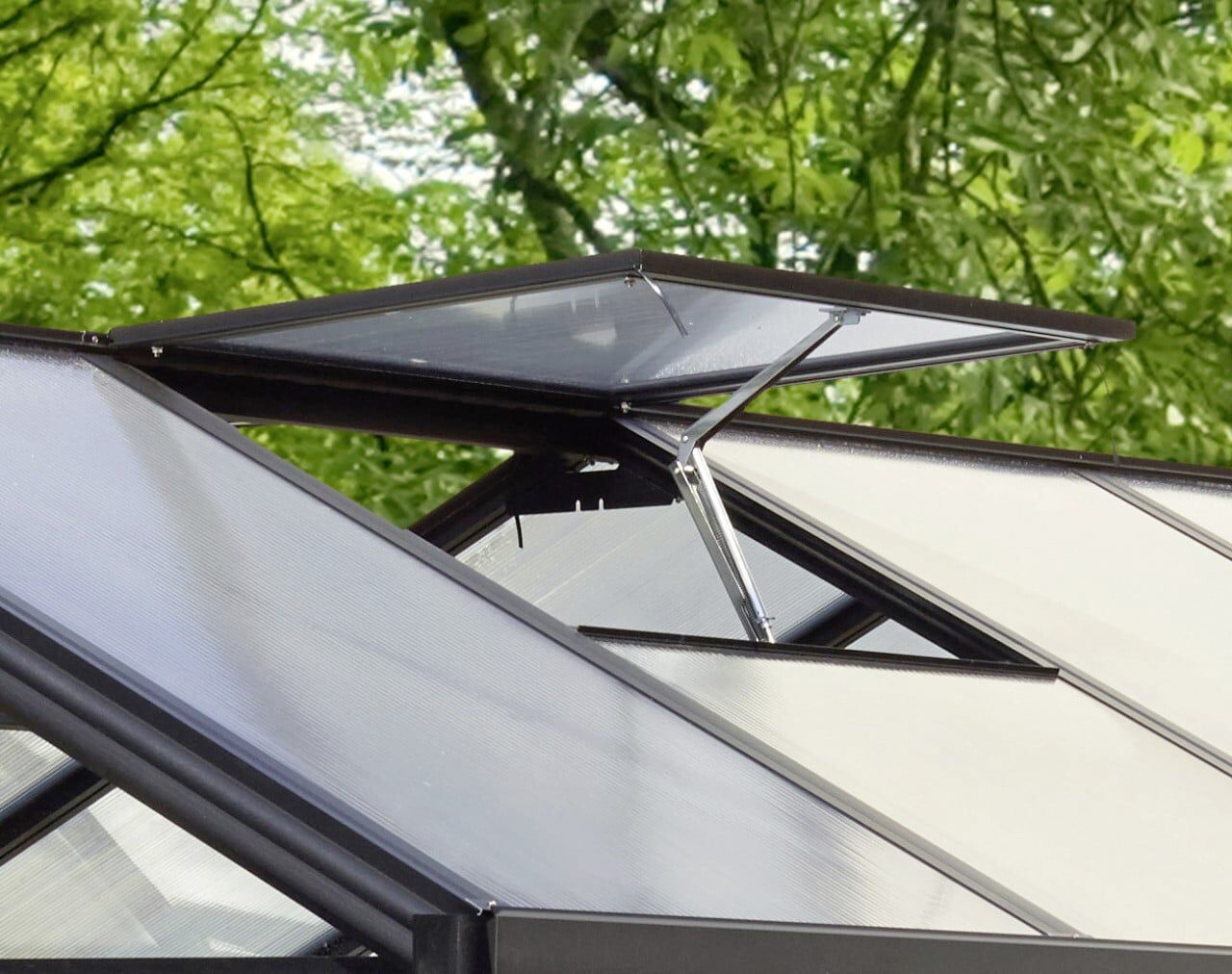 Vitavia Alu-Dachfenster zu Gewächshaus Zeus Poseidon schwarz