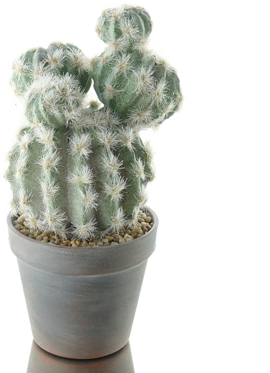 DPI kunstplant bol-cactus in bruine washed pot