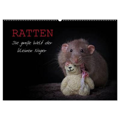 Ratten. Die große Welt der kleinen Nager (Wandkalender 2027 DIN A2 quer), CALVENDO Monatskalender