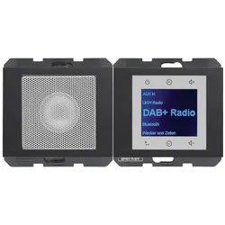 Berker BERK Radio Touch (DAB, DAB+, FM, Bluetooth), Radio, Grau