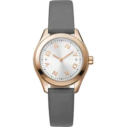 DKNY Astoria logo rose gold grey leather strap DK1L033L0035 - silber,grau - 30mm